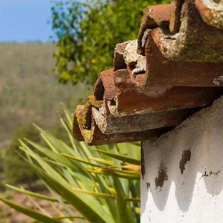 Casita Del S. Xix Ferienhaus